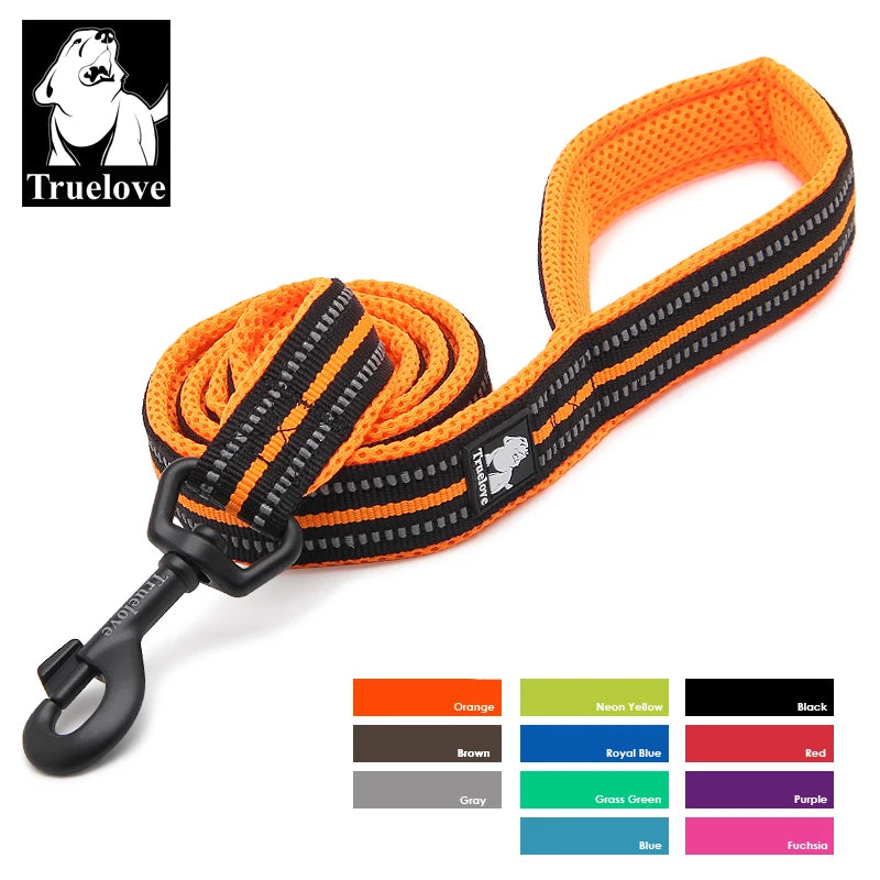 laisse de marche pour chien