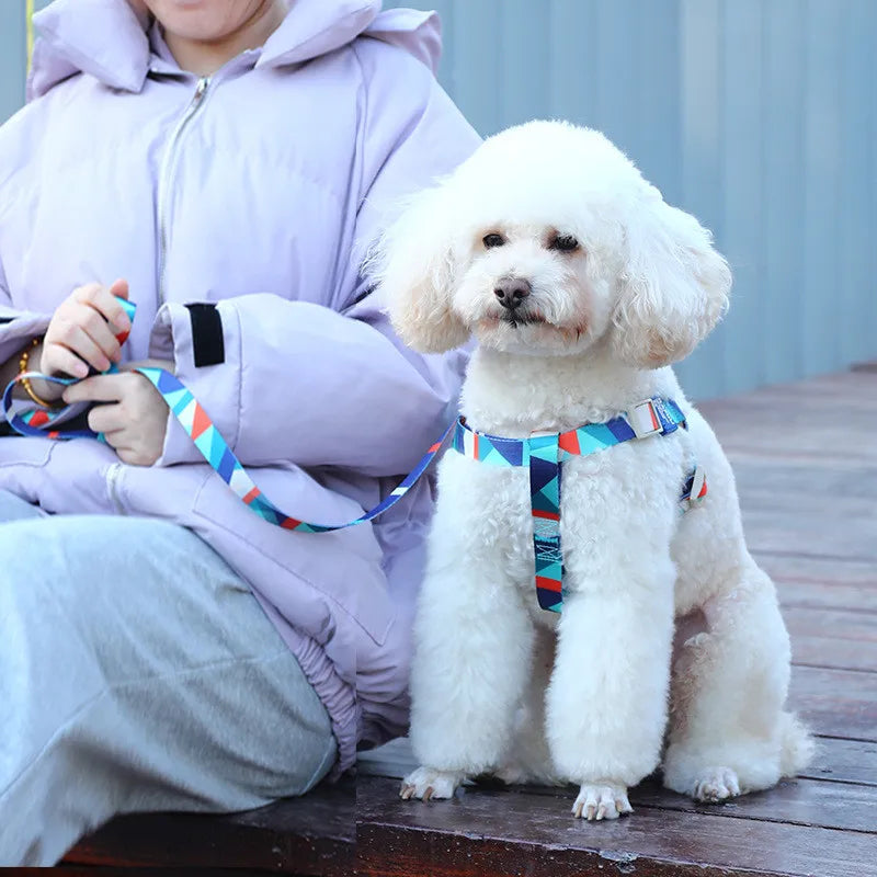 collier et laisse pour chien carricature