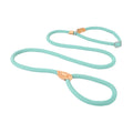 laisse lasso gros chien