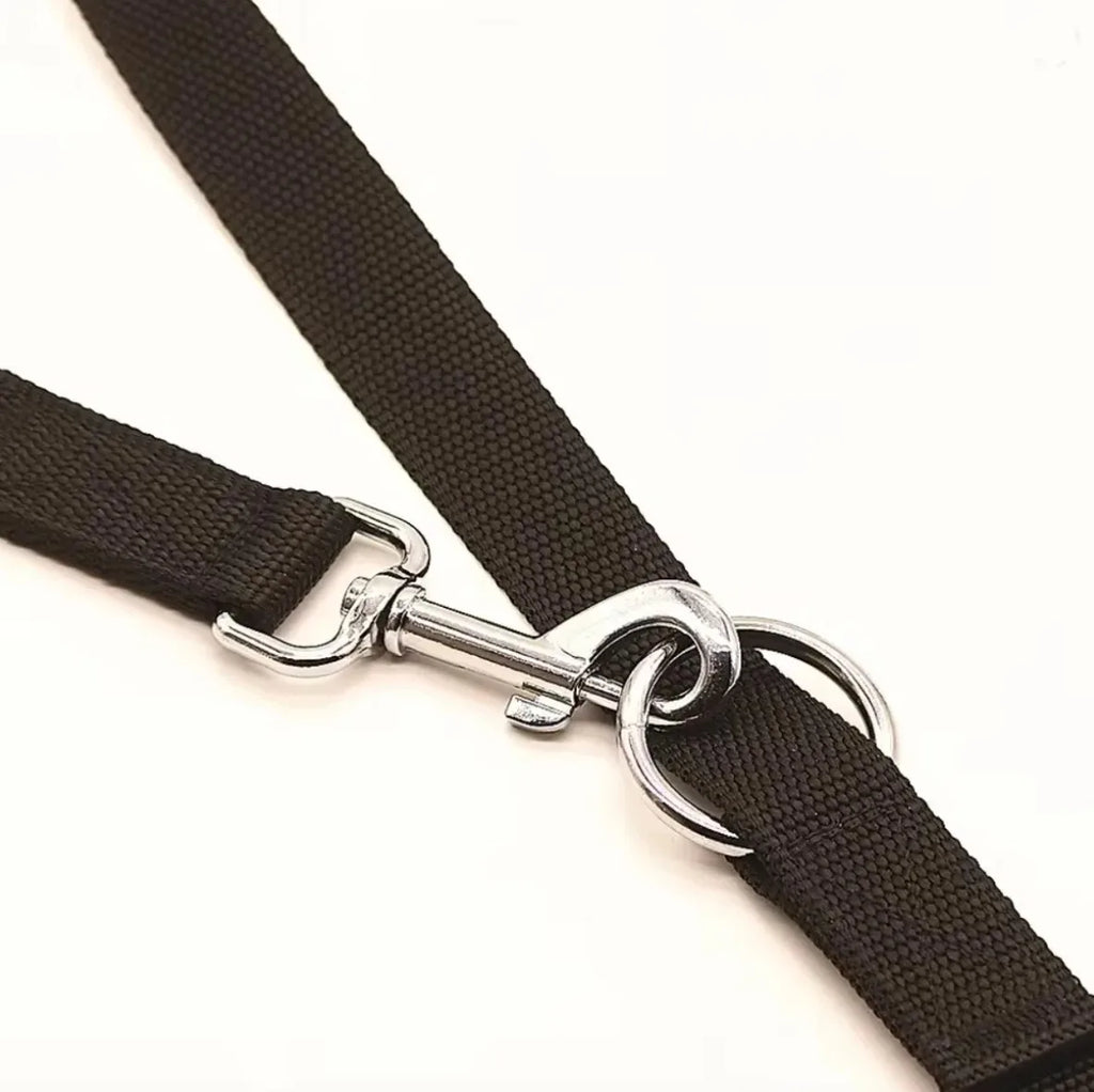 laisse 3 point nylon pour chien