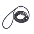 laisse cravate pour chien
