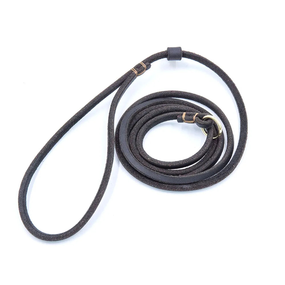 laisse cravate pour chien