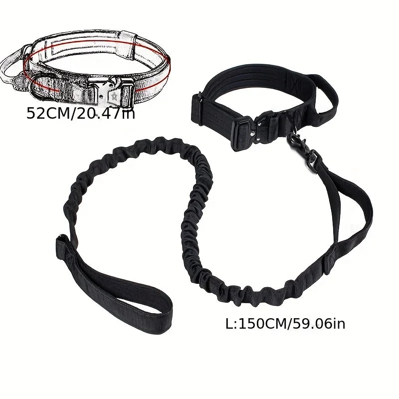 collier et laisse pour chien camouflage