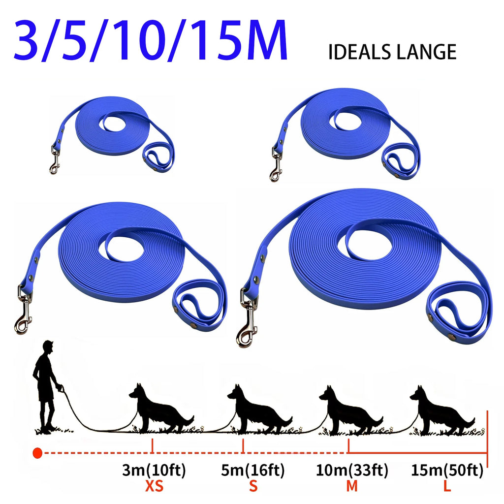 laisse flexible pour chien 5m