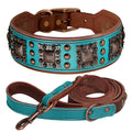 collier et laisse avec bouton pour chien