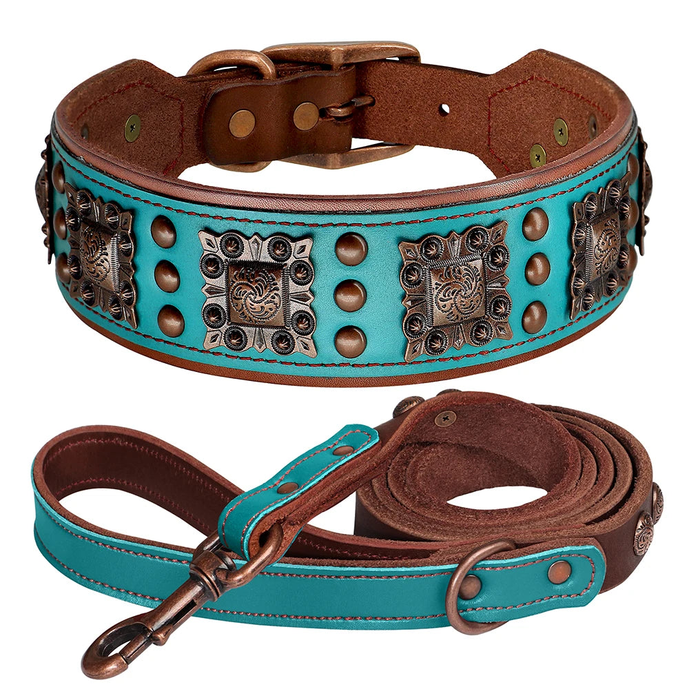 collier et laisse avec bouton pour chien