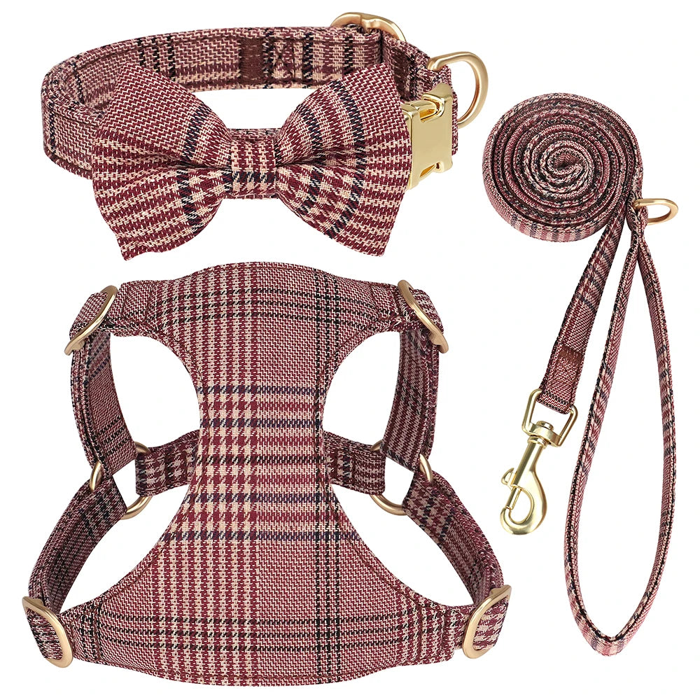 collier et laisse pour chien girly