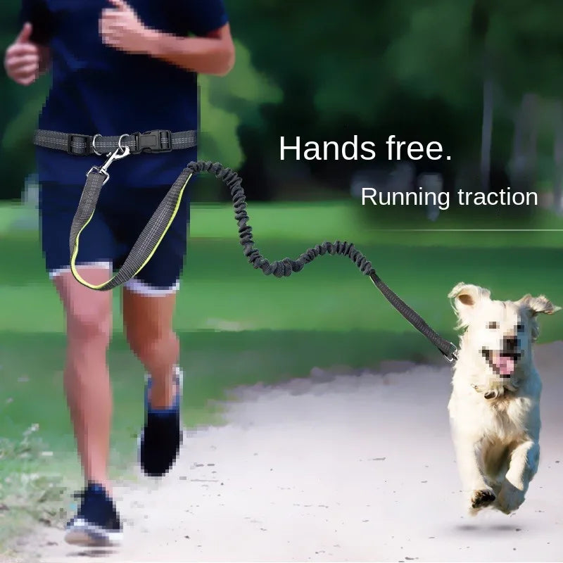 laisse canicross pour chien