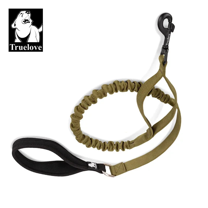 laisse pour chien elastique