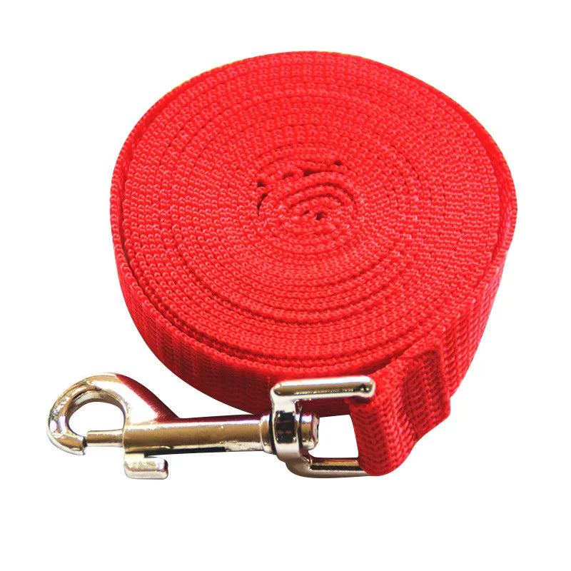 laisse 30m pour chien