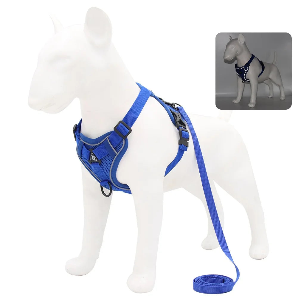 harnais laisse pour chien de moyen taille