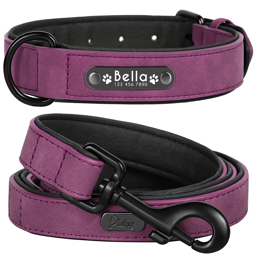 laisse et collier en cuir pour chien