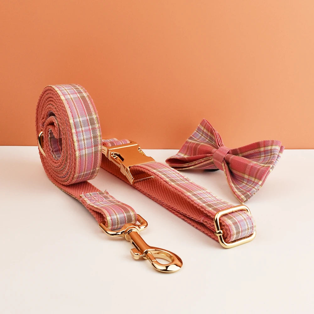 collier et laisse pour chien japonais
