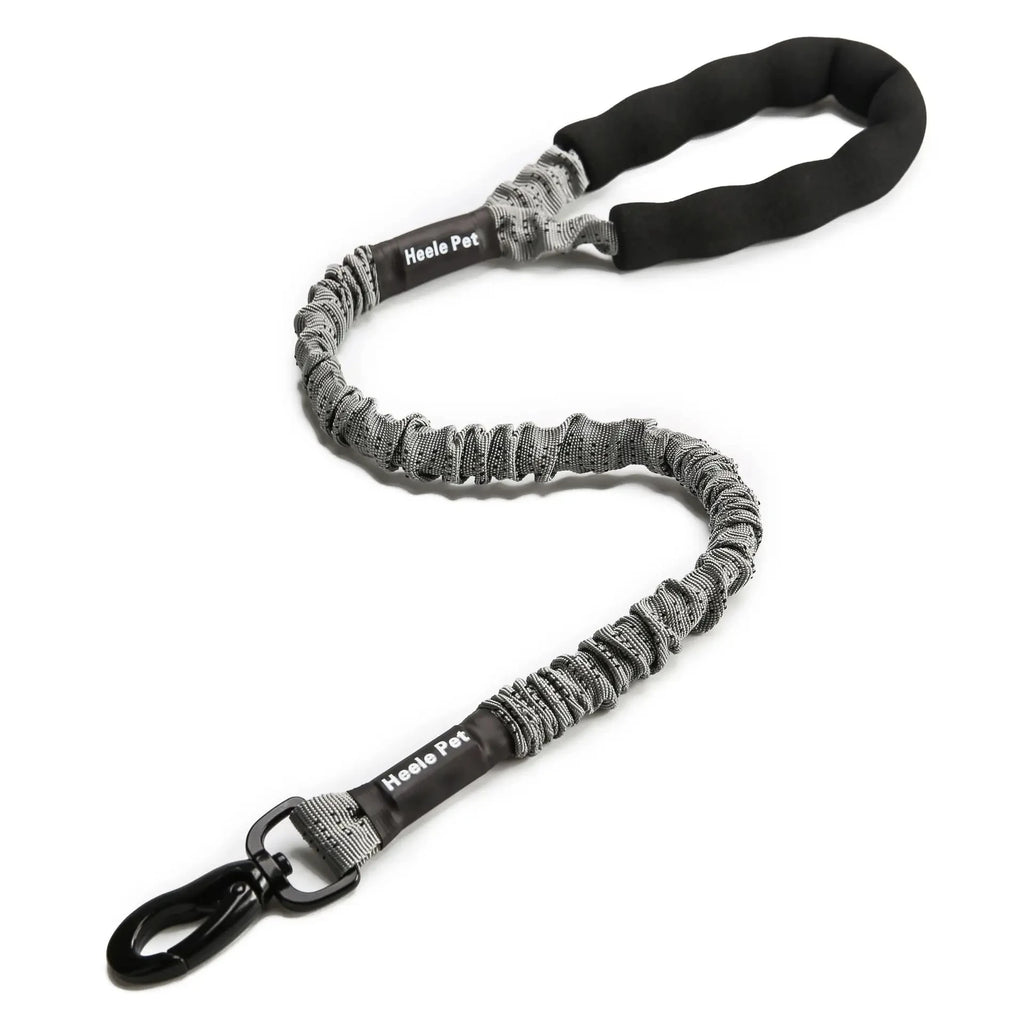 laisse anti traction
