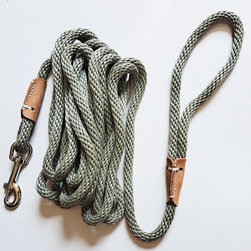 corde laisse pour chien 3 metre