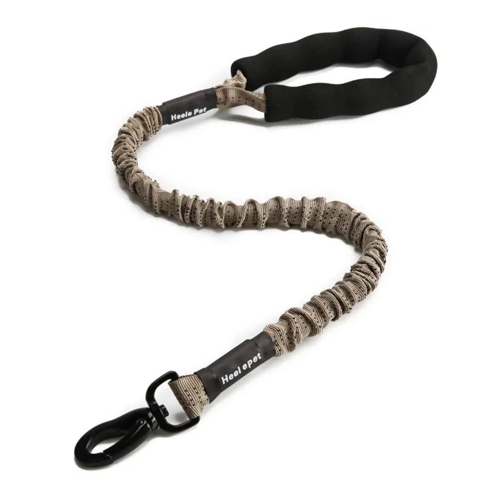 laisse anti traction