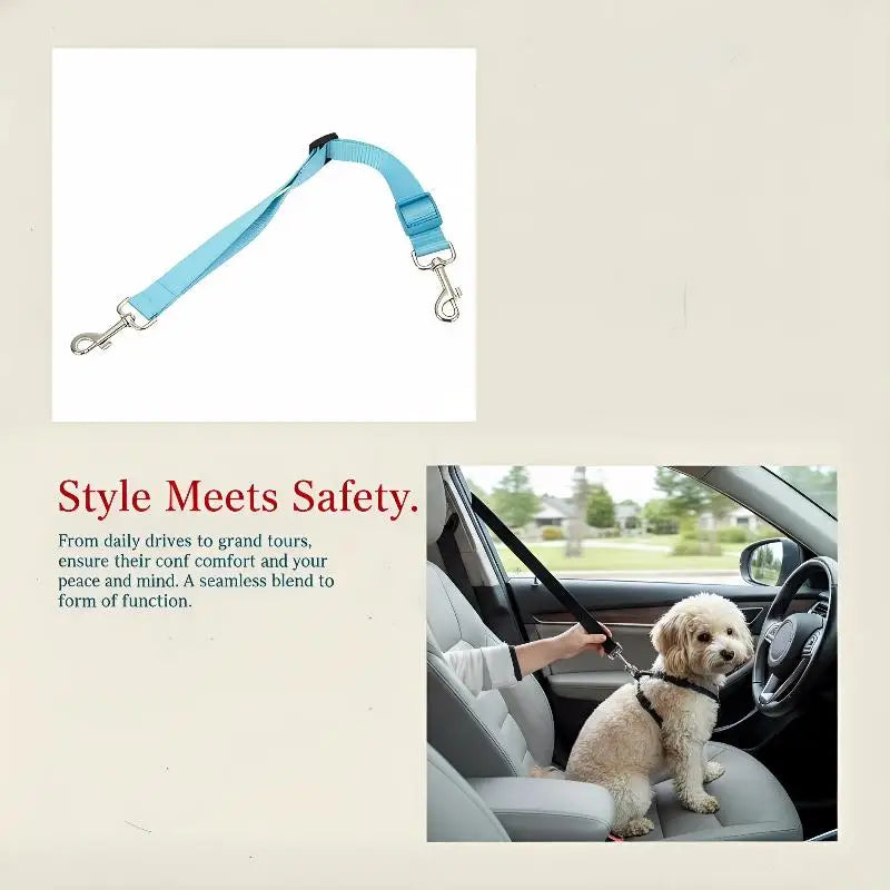 laisse pour voiture pour chien