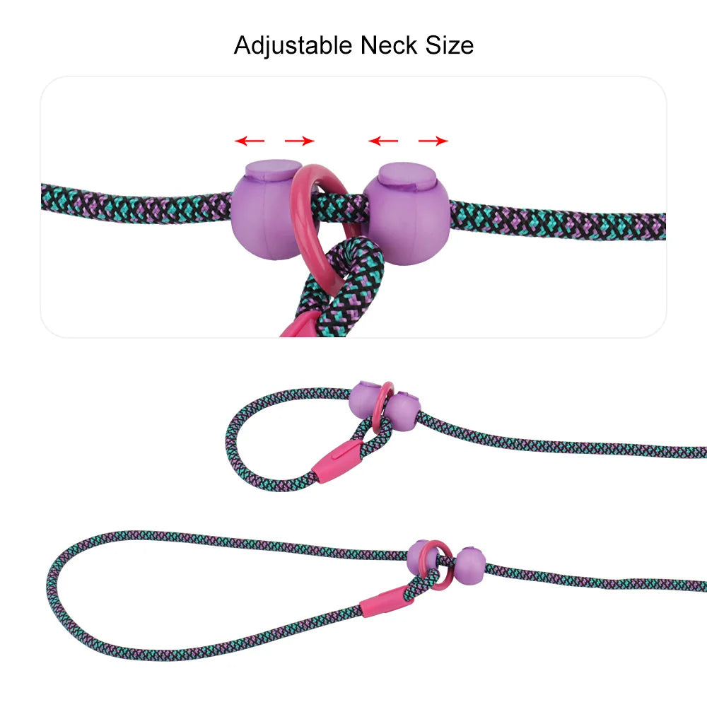 laisse de présentation pour chien 6 mm