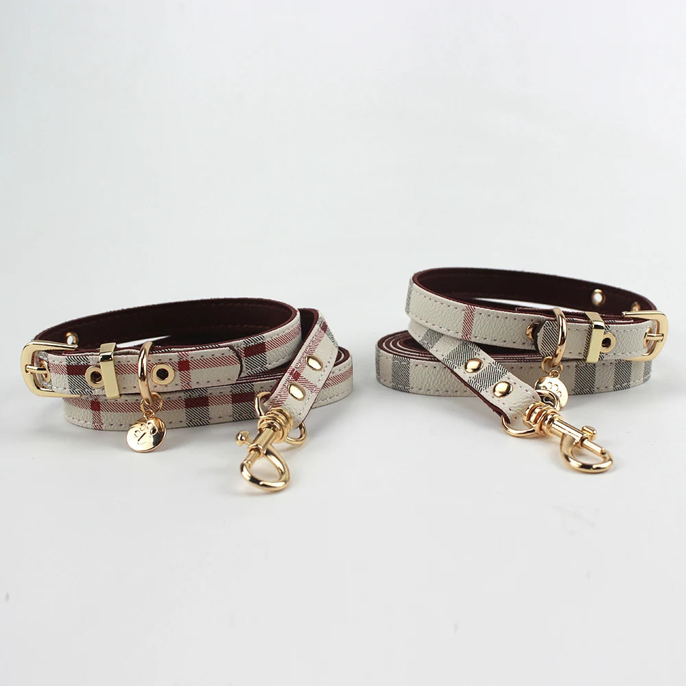 collier et laisse pour chien chic
