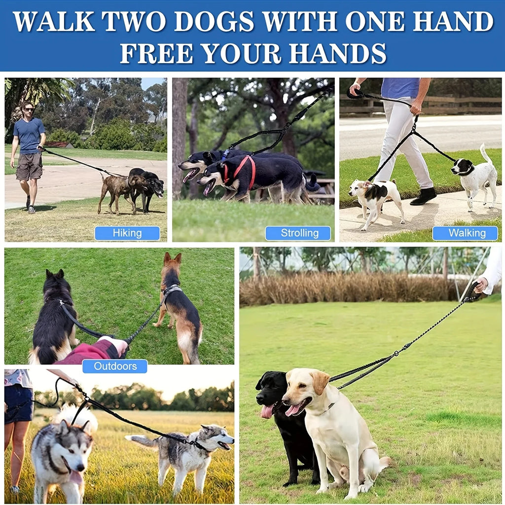 laisse double pour gros chien