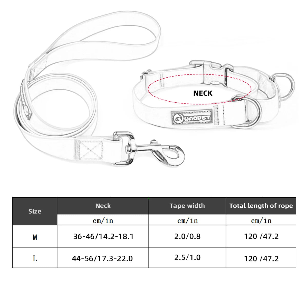 collier et laisse pour chien