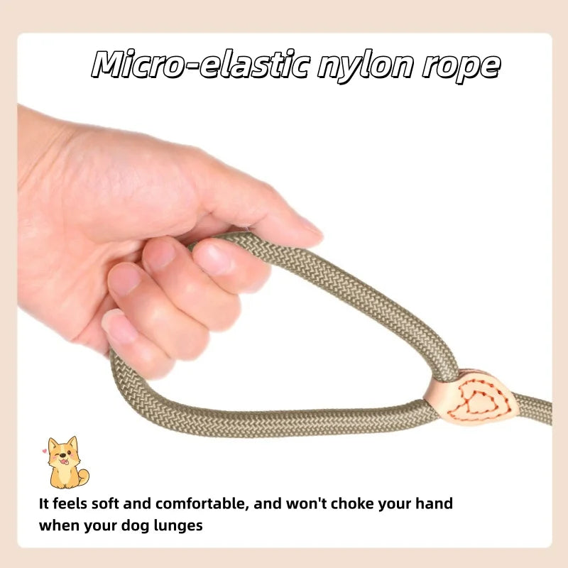 laisse coulissante pour chien