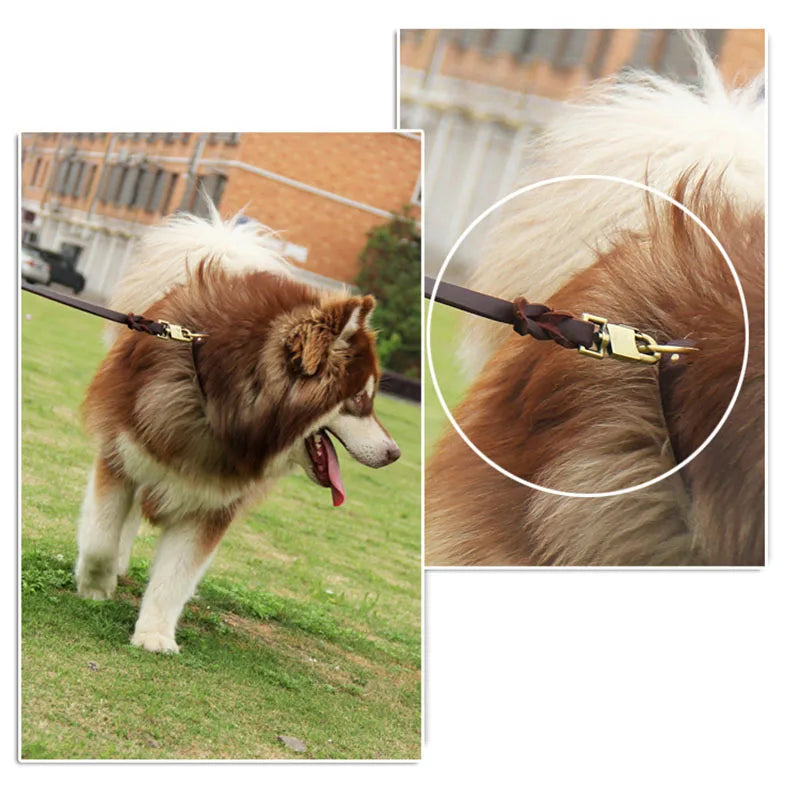 laisse en cuir pour gros chien