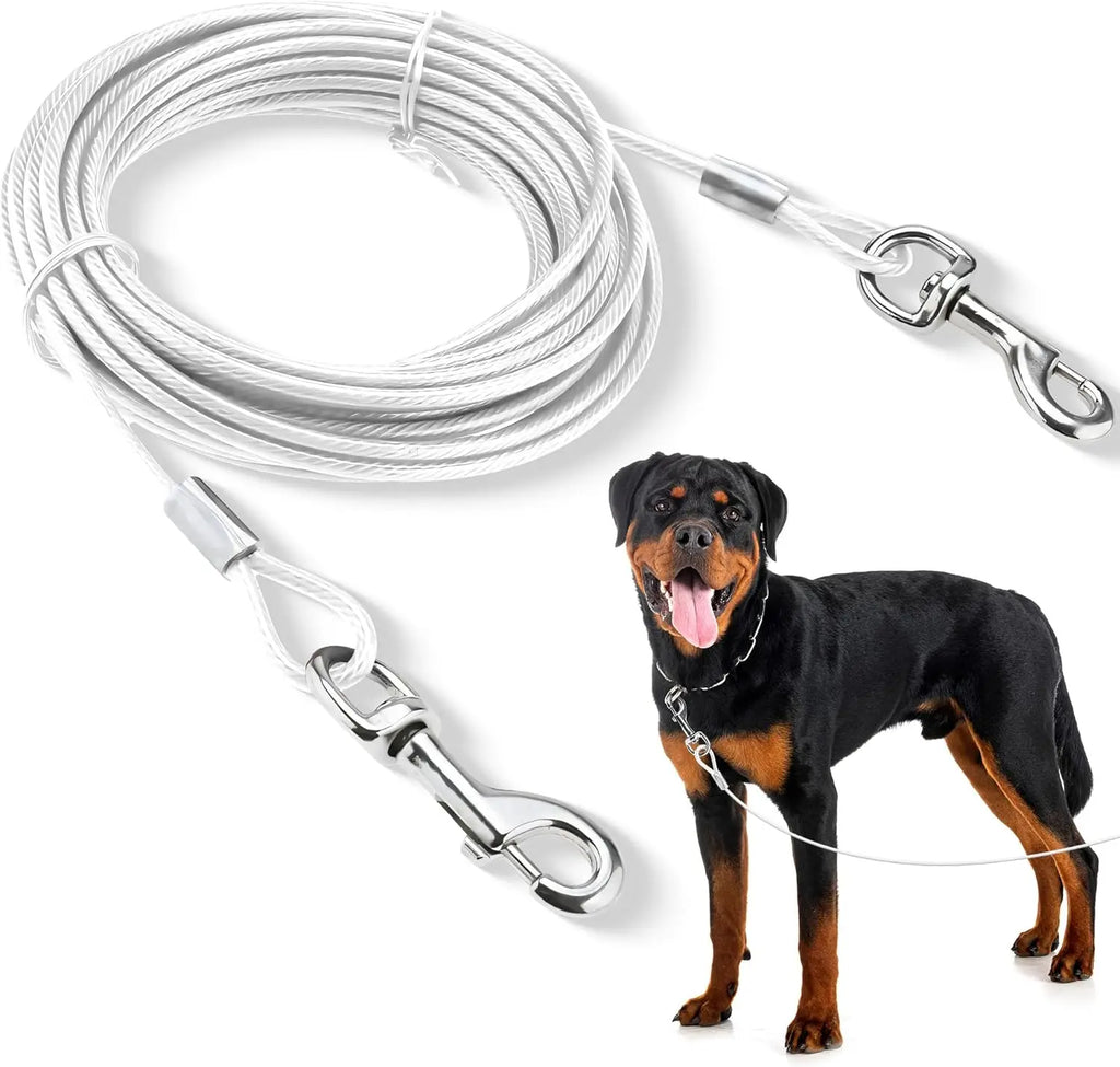 laisse en metal our chien