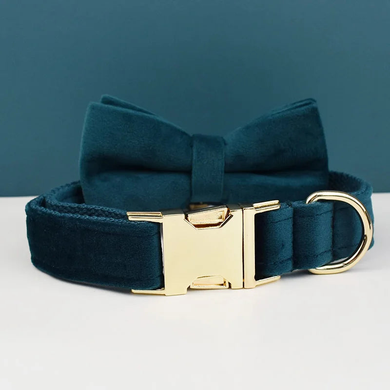collier et laisse pour chihuahua