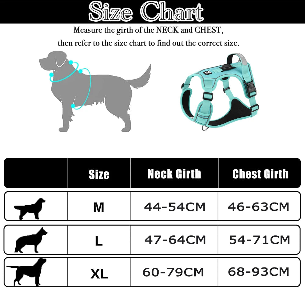 ensemble harnais laisse pour chien