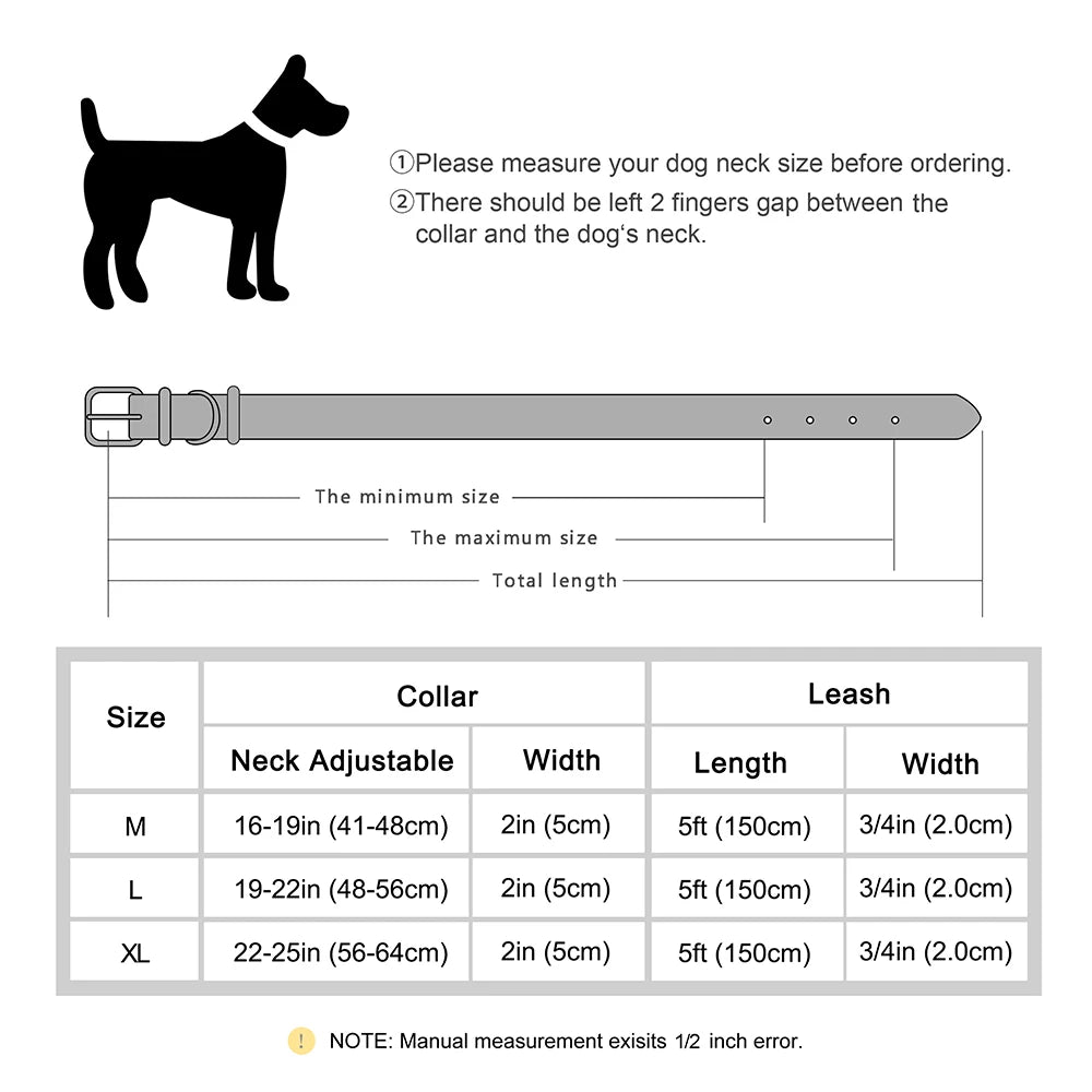 collier et laisse avec bouton pour chien