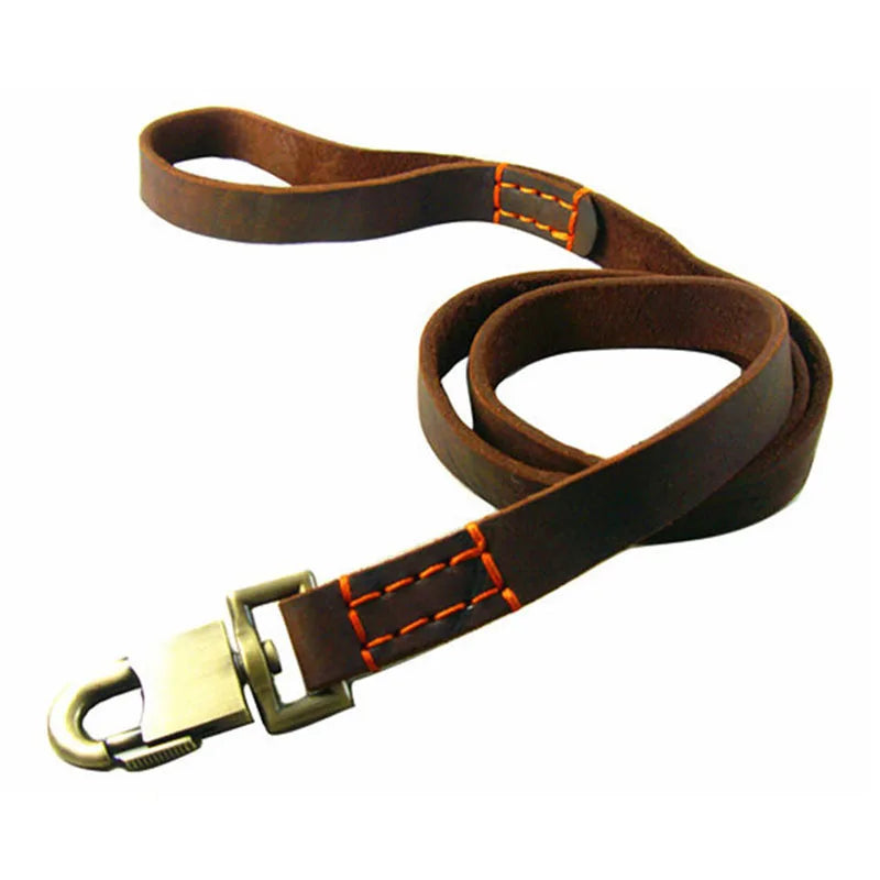 laisse en cuir pour gros chien