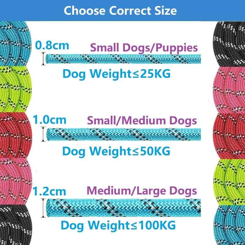 laisse avec poigner pour chien