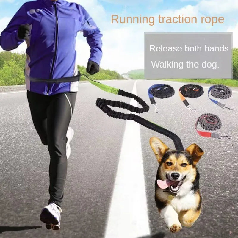 laisse canicross pour chien