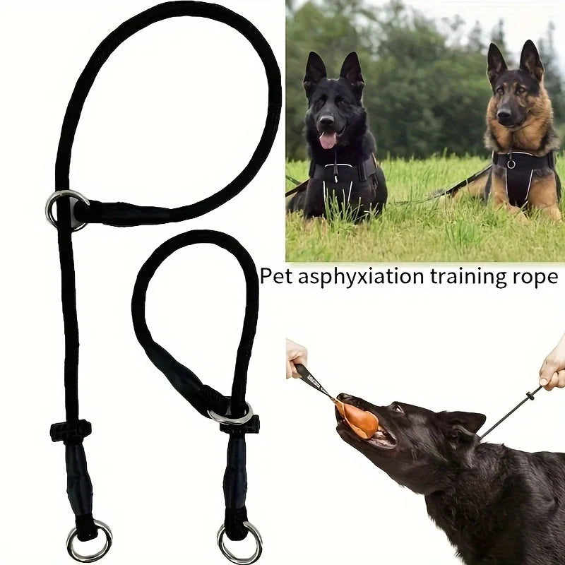 laisse collier étrangleur