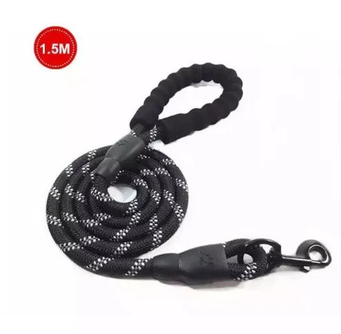 laisse harnais pour chien
