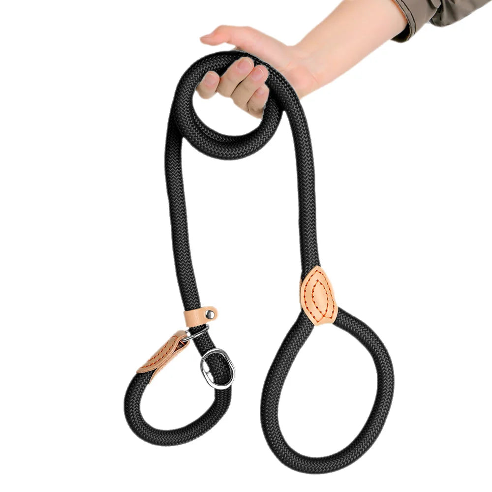 laisse coulissante pour chien