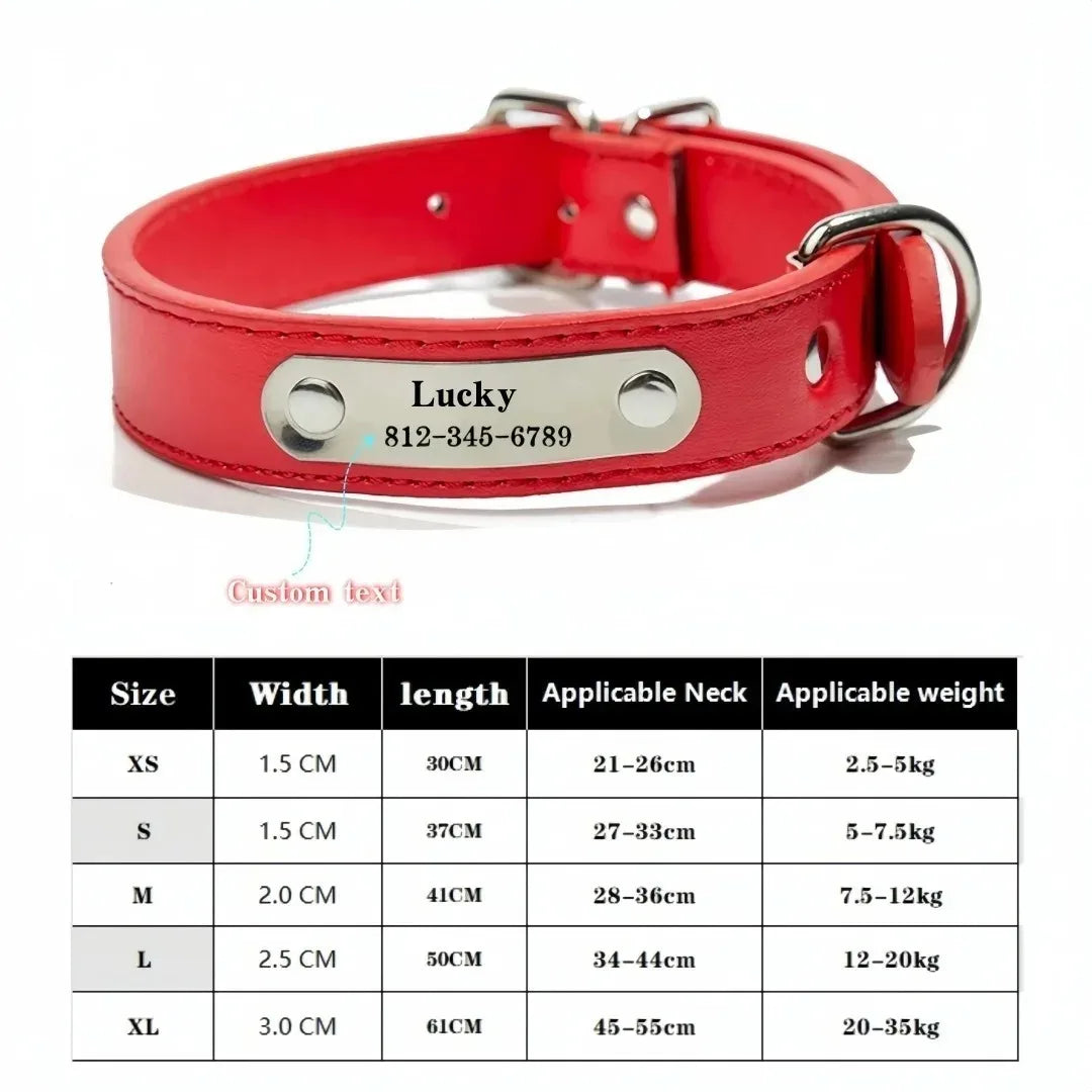 collier et laisse pour chien personaliser