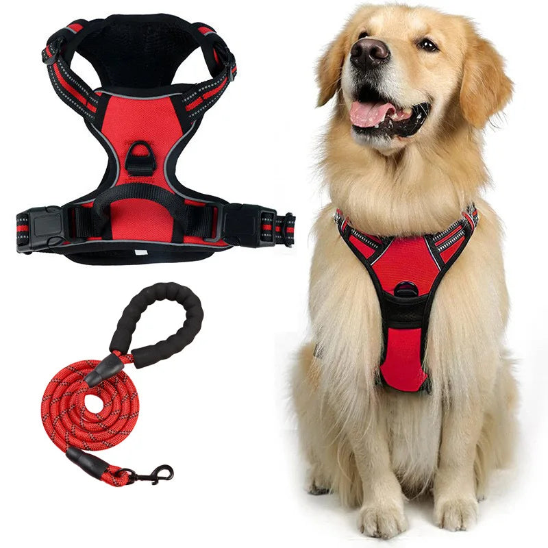 laisse harnais pour chien
