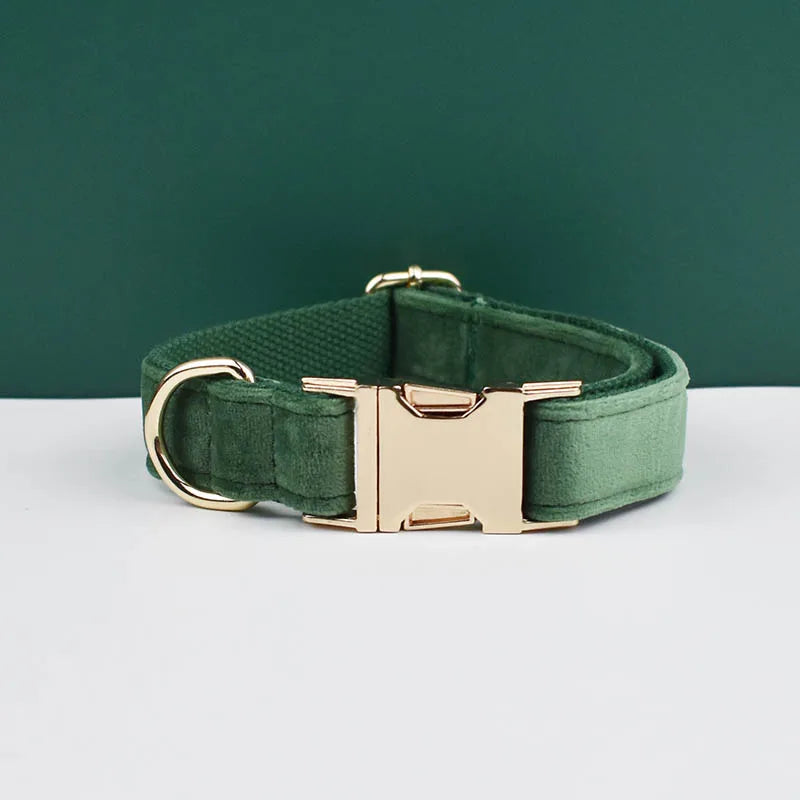 collier et laisse pour chihuahua