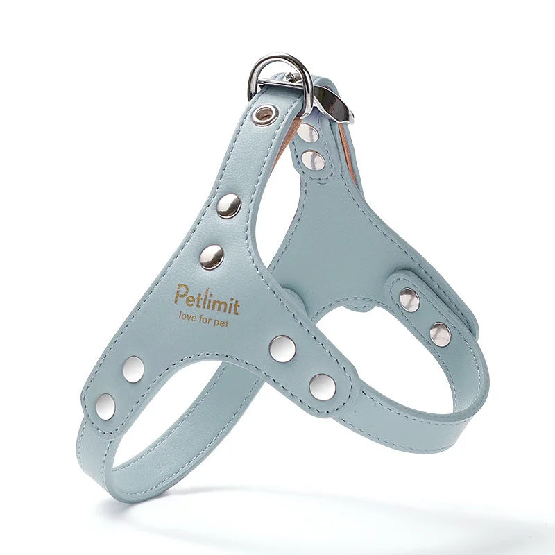 harnais cuir laisse pour petit chien yorkshire