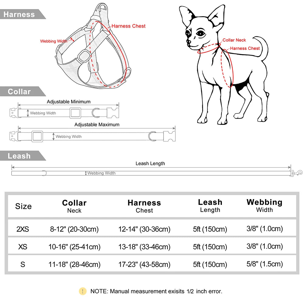collier et laisse pour chien girly