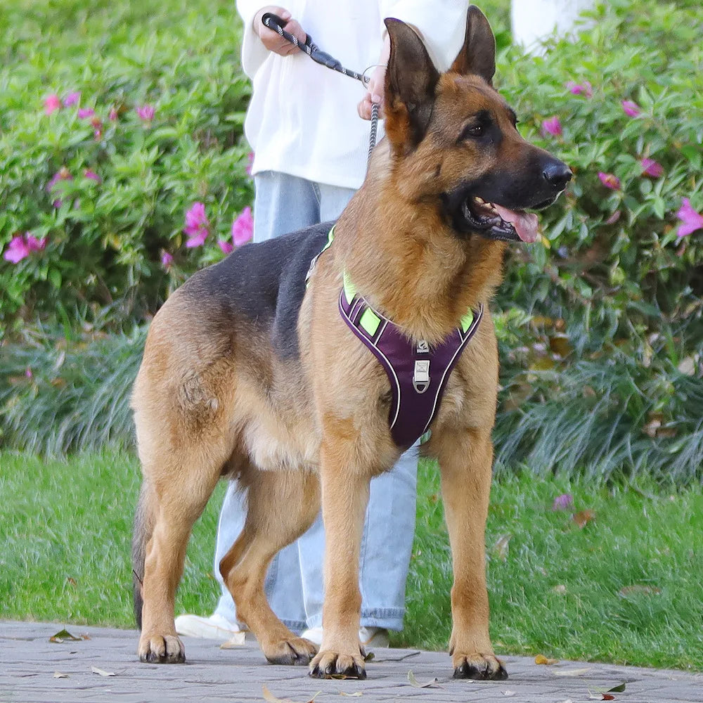 harnais jaune pour chien qui tire