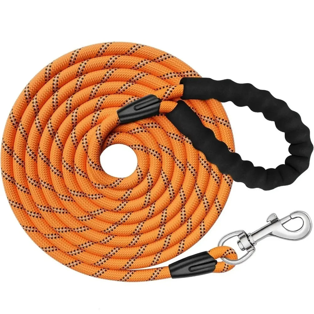 laisse corde pour chien