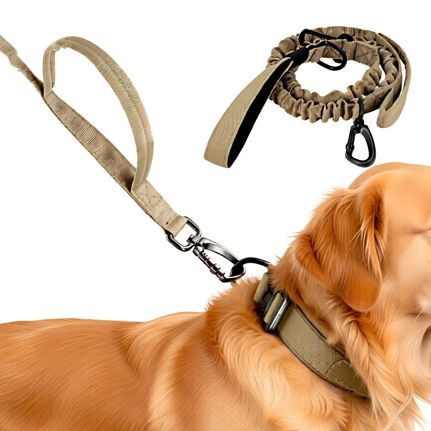laisse camouflage chien de chasse