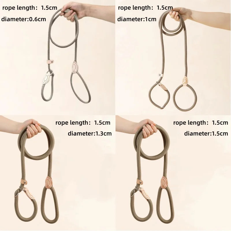 laisse coulissante pour chien