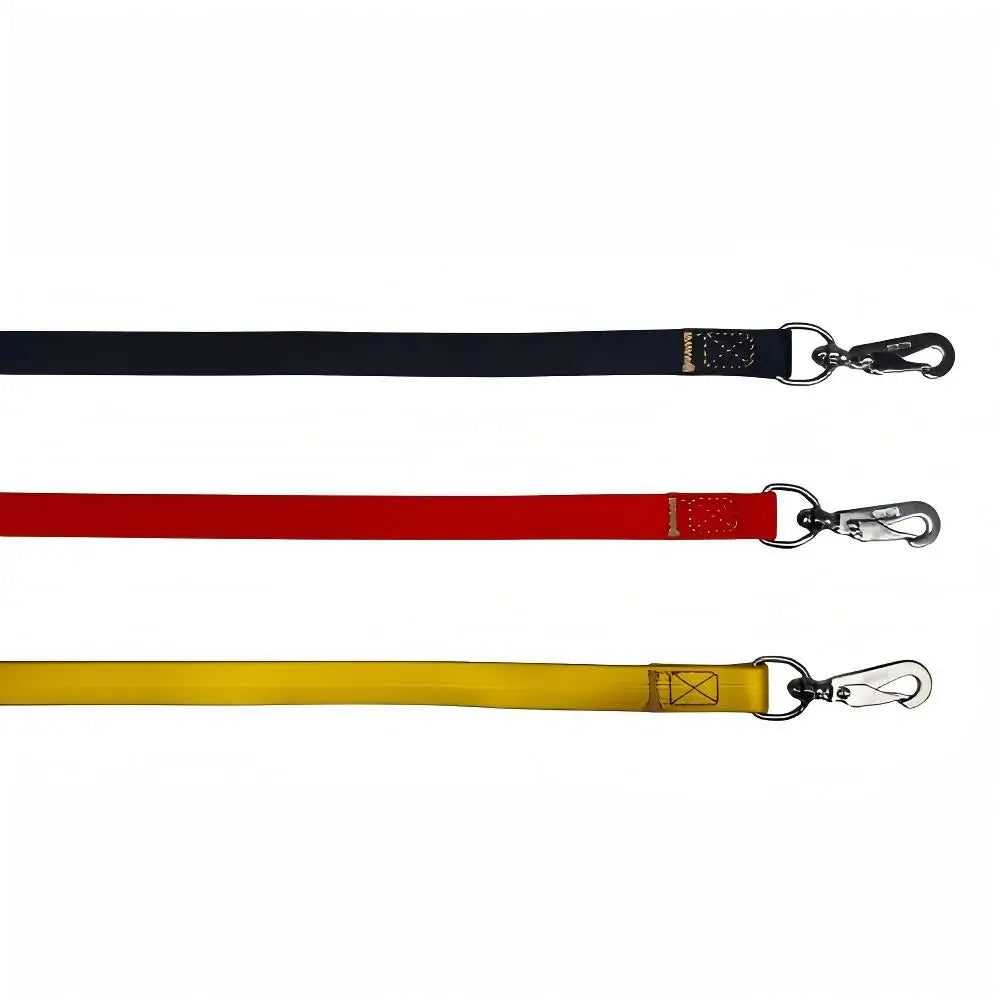 laisse en silicone pour chien