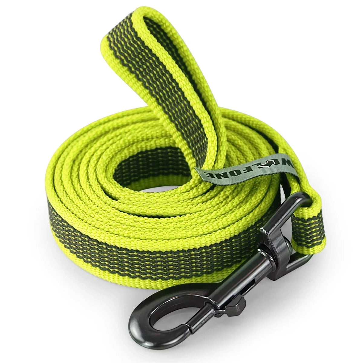 laisse fluo pour chien