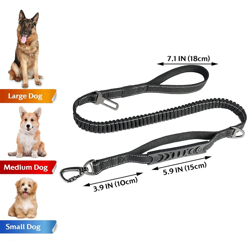 laisse amortisseur pour gros chien