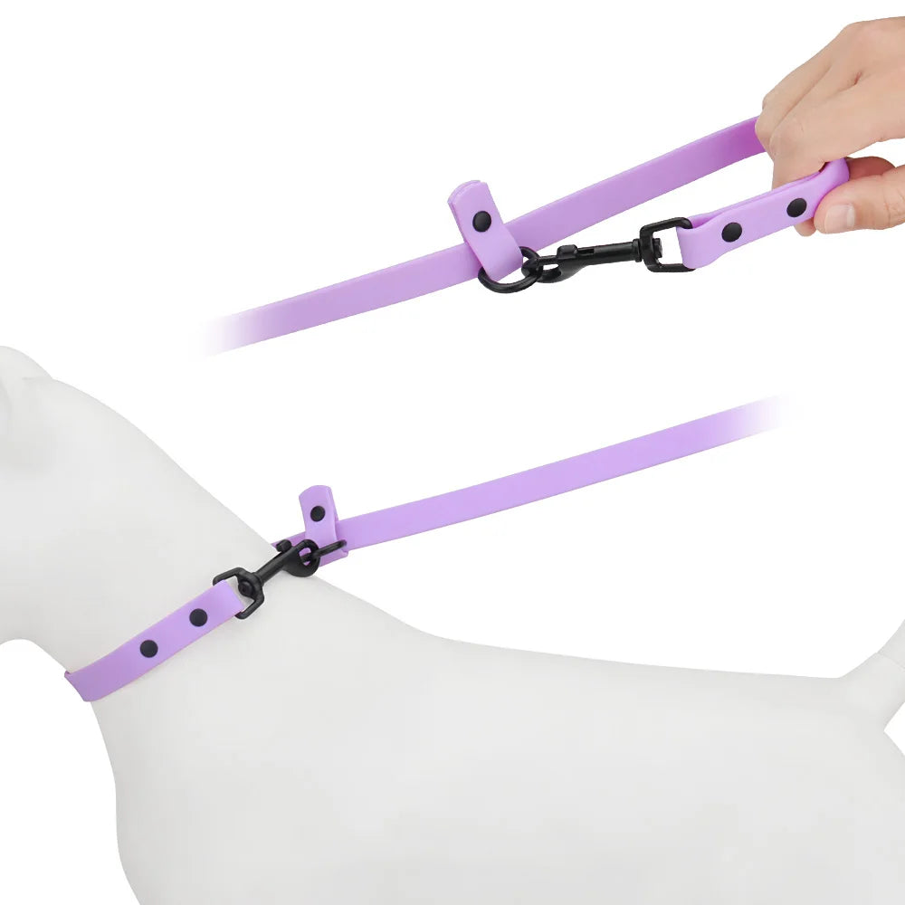 laisse d'attache pour chien